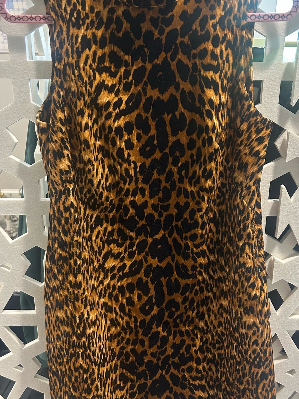 Cara Cara Leopard Print Mini Dress - Brown/Black